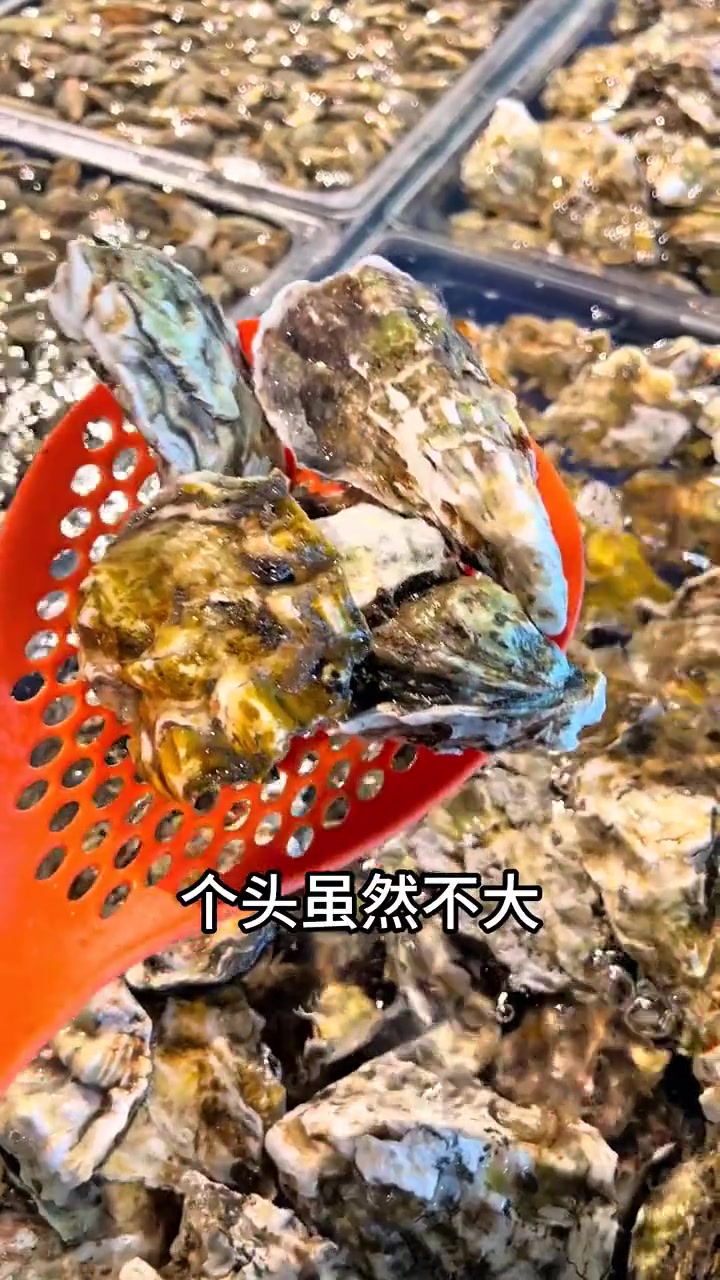 金石滩海边吃个海鲜烤肉自助
