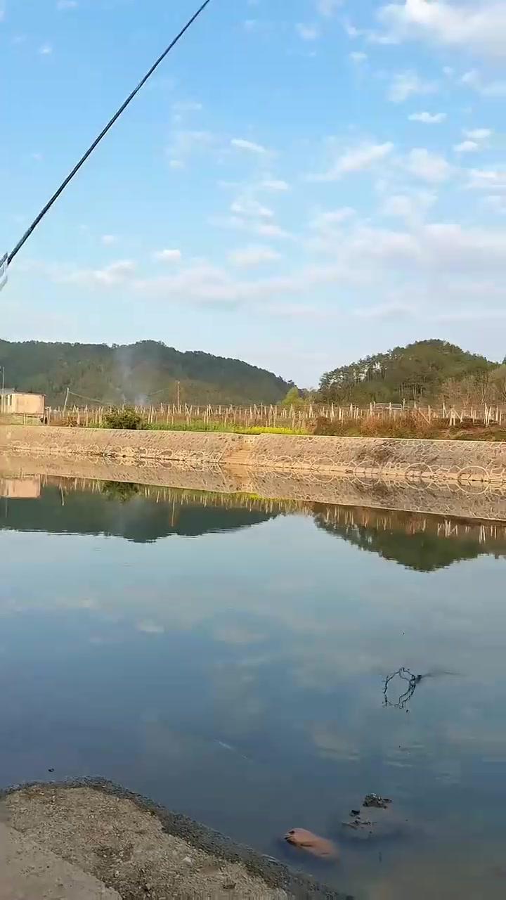 第一次钓鱼就钓到“大鱼”？