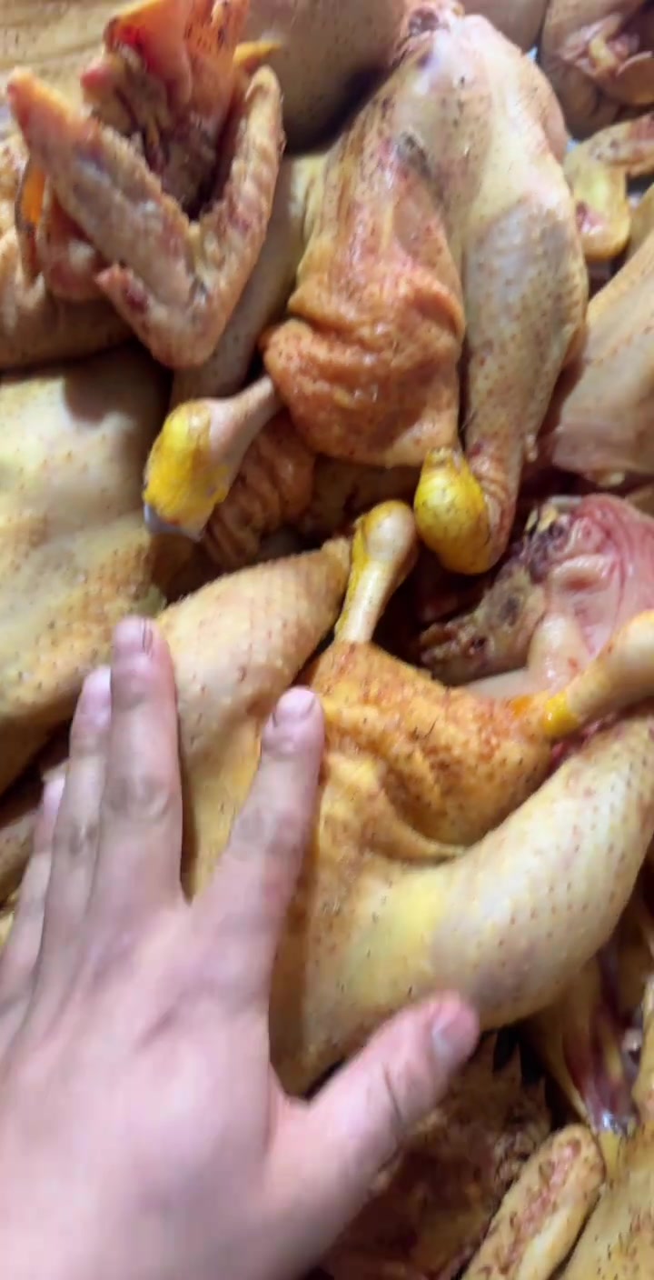 农村散养红公鸡，肉质鲜美可好了