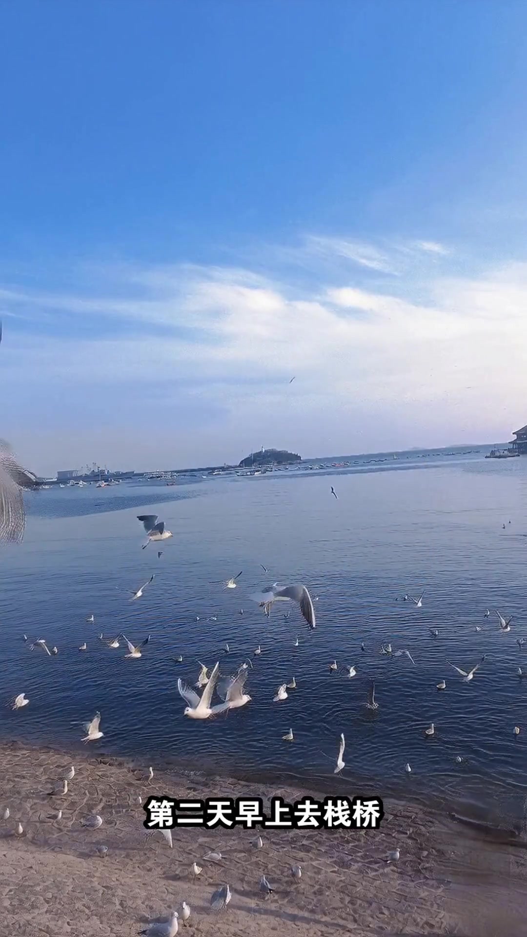 青岛2日游攻略!避开人潮玩转海滨+海底世界