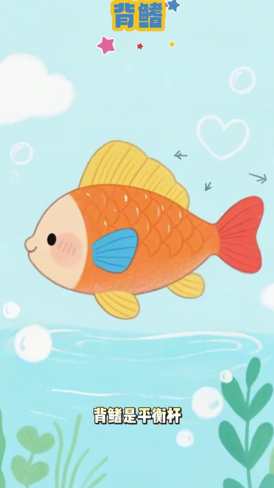 鱼的鳃能过滤水中的氧气，是水生环境的天生游泳健将