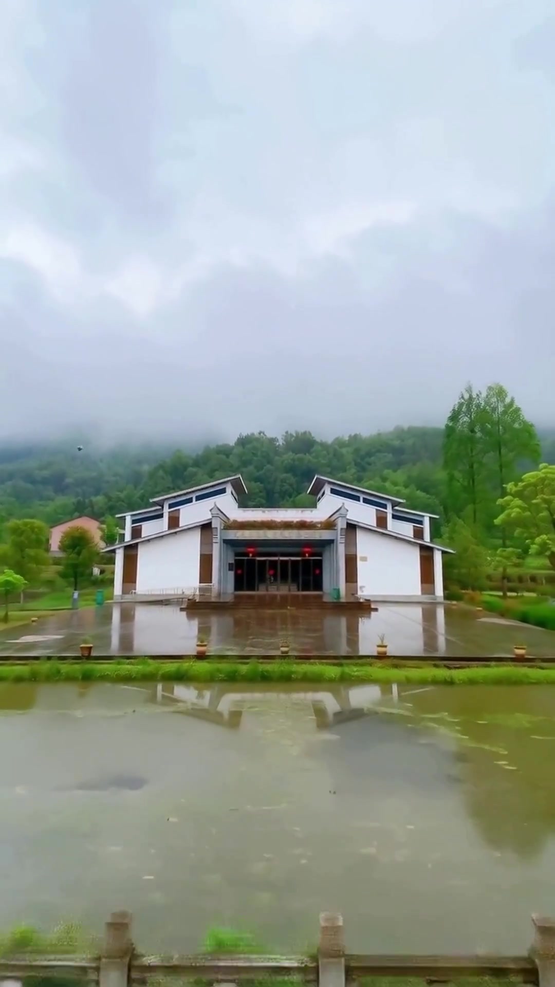 汉中油菜花海绝了！5大观花点+2条路线，错过再等一年