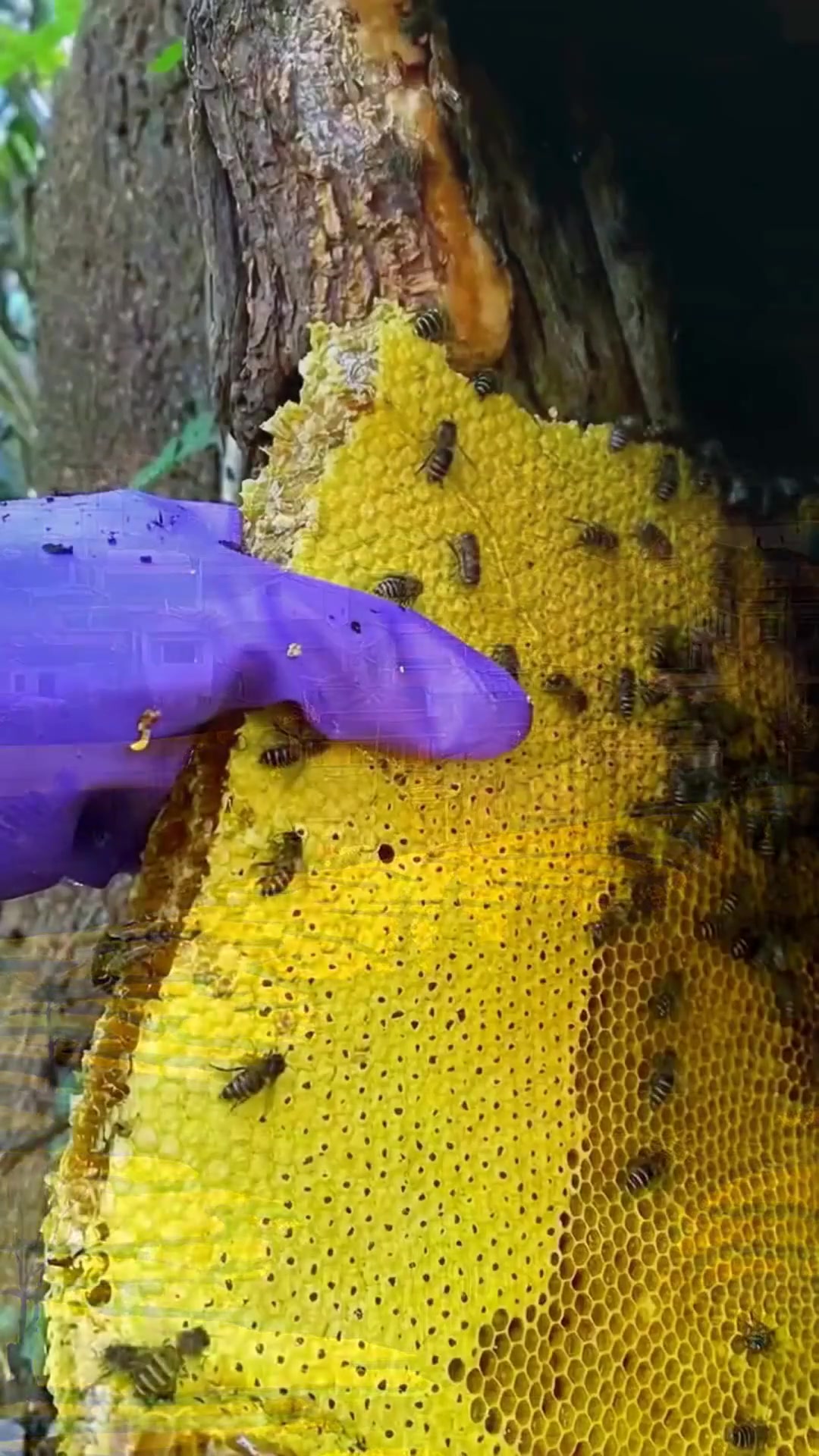 汉中油菜花海绝了！5个秘境观花点+2条私藏路线，错过再等一年