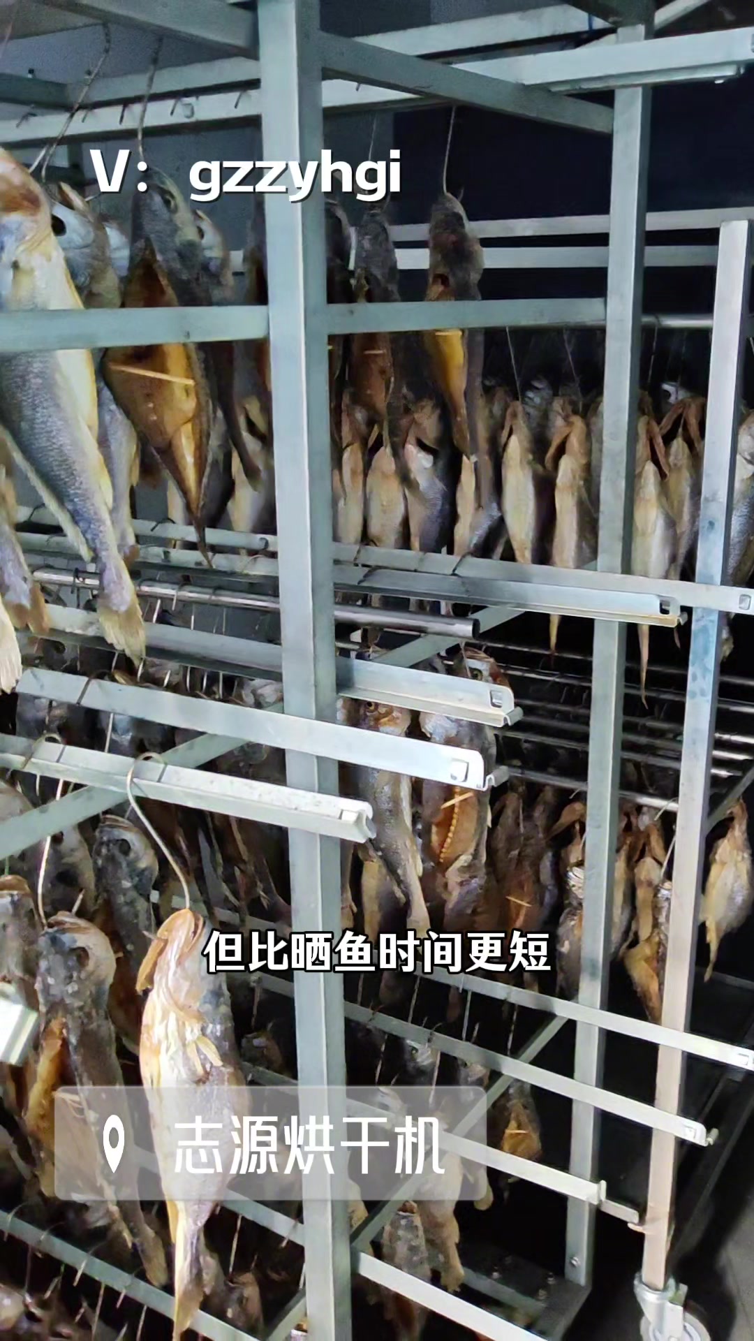 空气能鱼干烘干机低温冷风功能 小型鱼干海参烘干机厂家