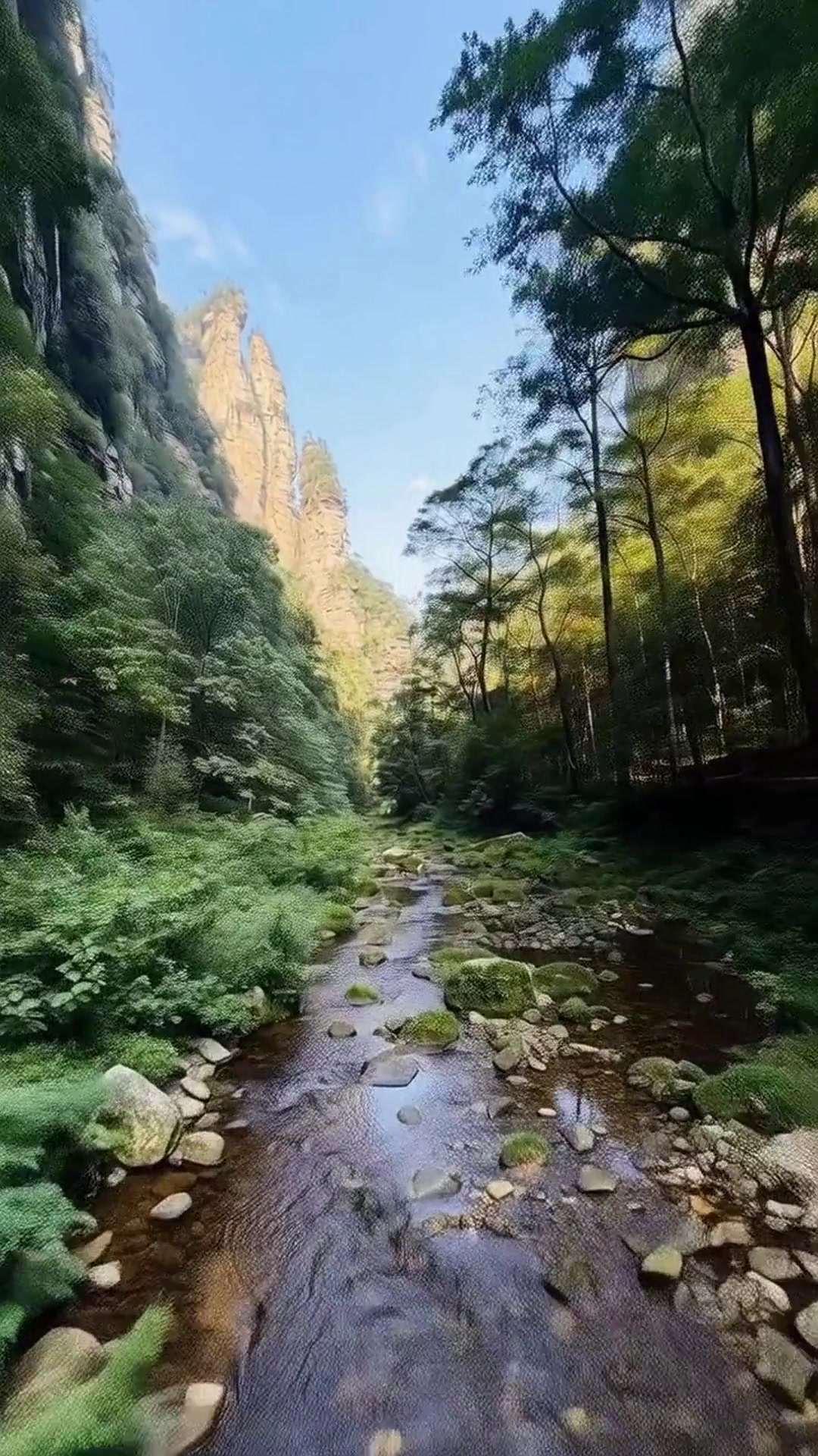 懒人福音!张家界5天4夜跟团暴走攻略,省心玩到嗨