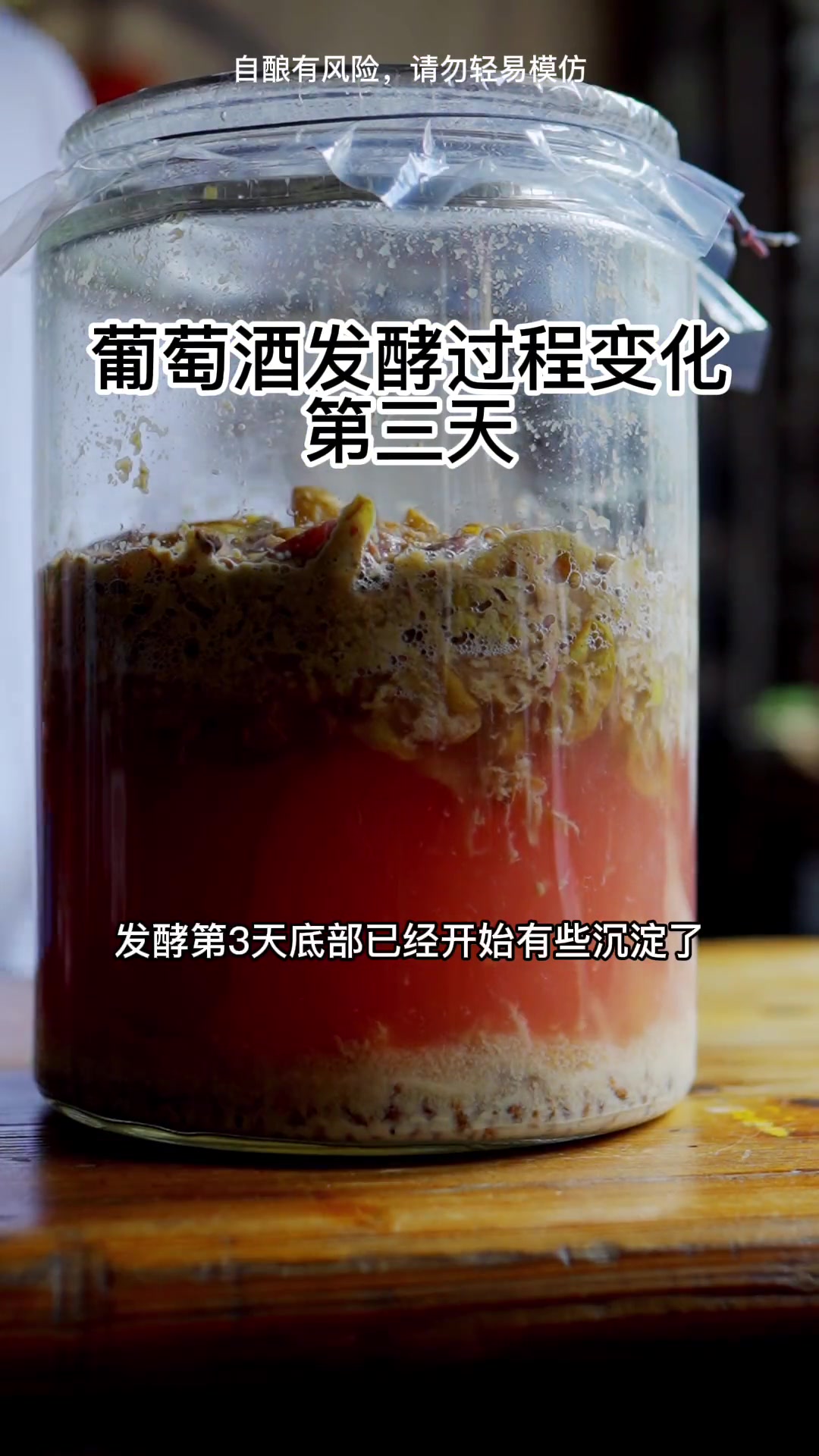 葡萄酒发酵过程变化完整记录,大家可以参考下!
