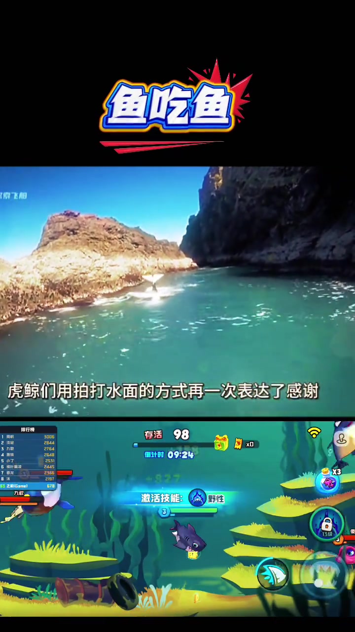 大鱼吃小鱼，自然界常见的鱼吃鱼现象