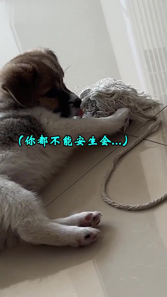 什么虚弱，这是打鸡血了！