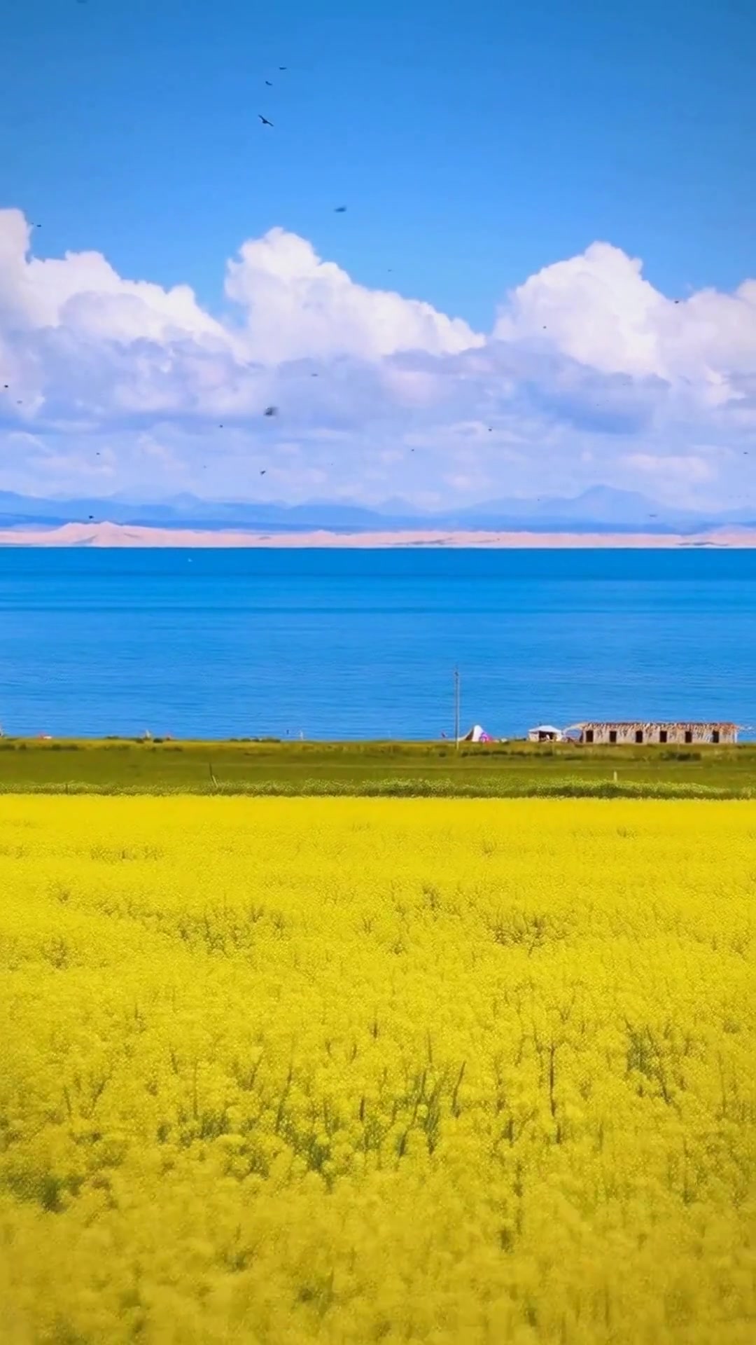 青海旅游避坑指南!6天玩转西宁敦煌张掖,暑假必看!