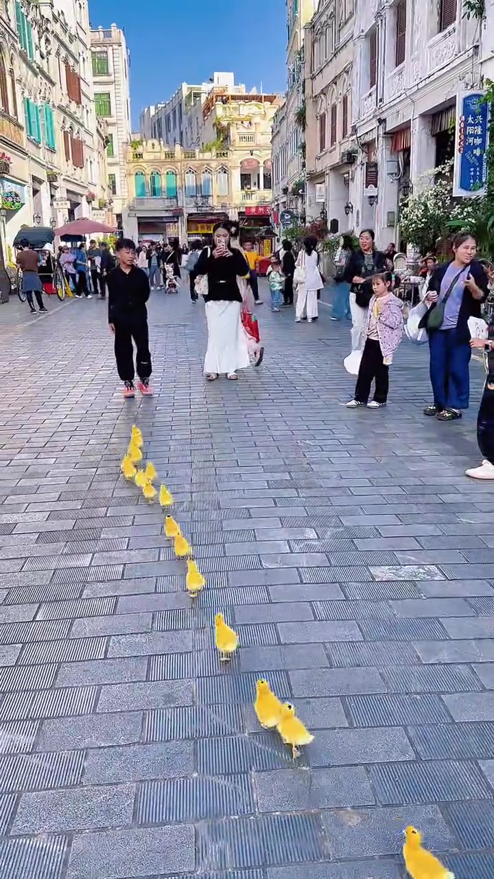骑楼老街的风+遛鸭的我,路人的表情像开盲盒:好奇、疑惑、偷偷乐,这才是逛老街的正确打开方式