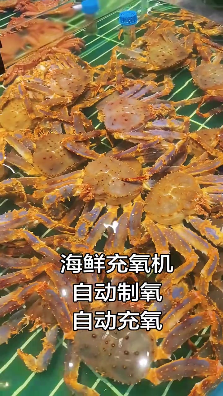 海鲜店的打包小能手:海鲜充氧机-自动制氧-自动充氧