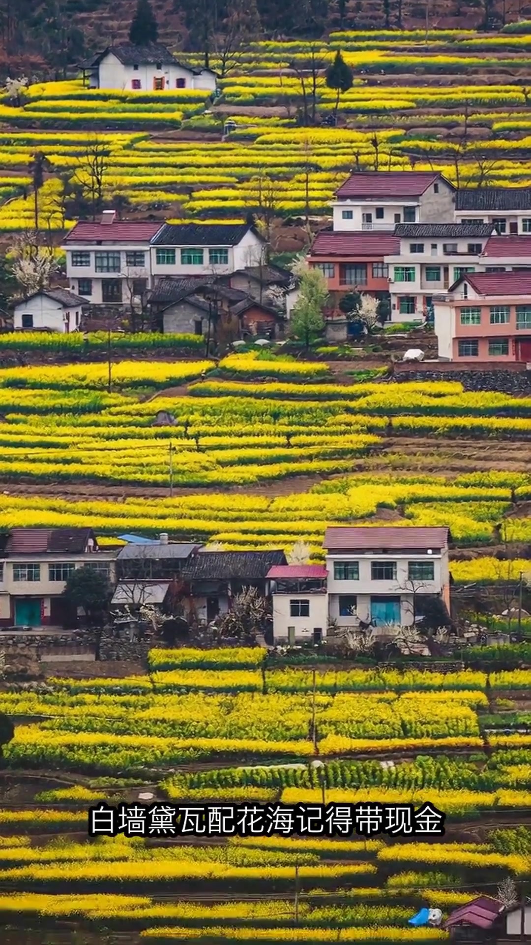 汉中油菜花海2天1夜亲子游！6个绝美打卡地，避开网红雷区