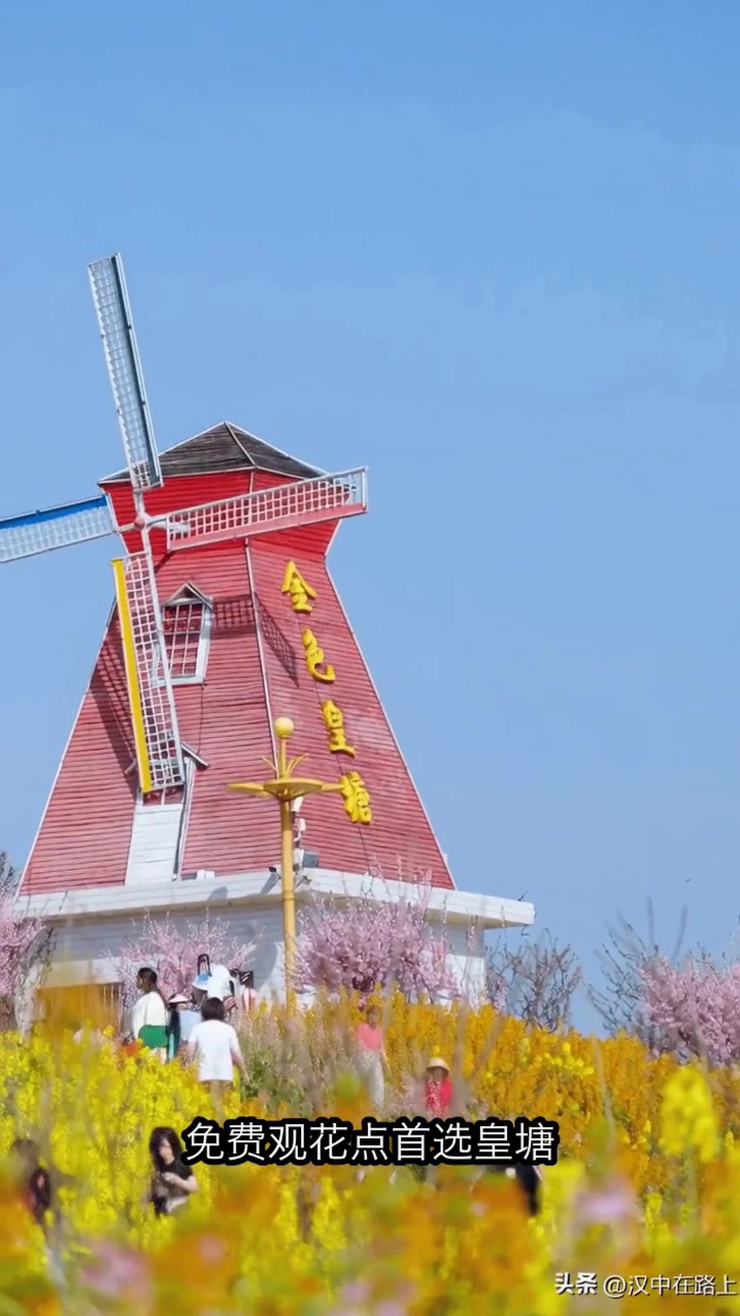 汉中油菜花海4大绝美打卡点！高铁穿越花海惊艳到哭