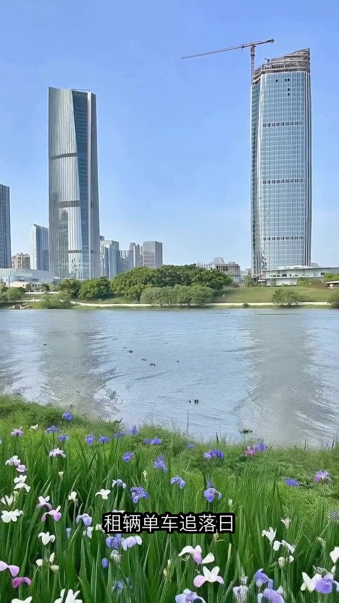 赣州5处绝美油菜花海曝光！私藏机位+路线全攻略