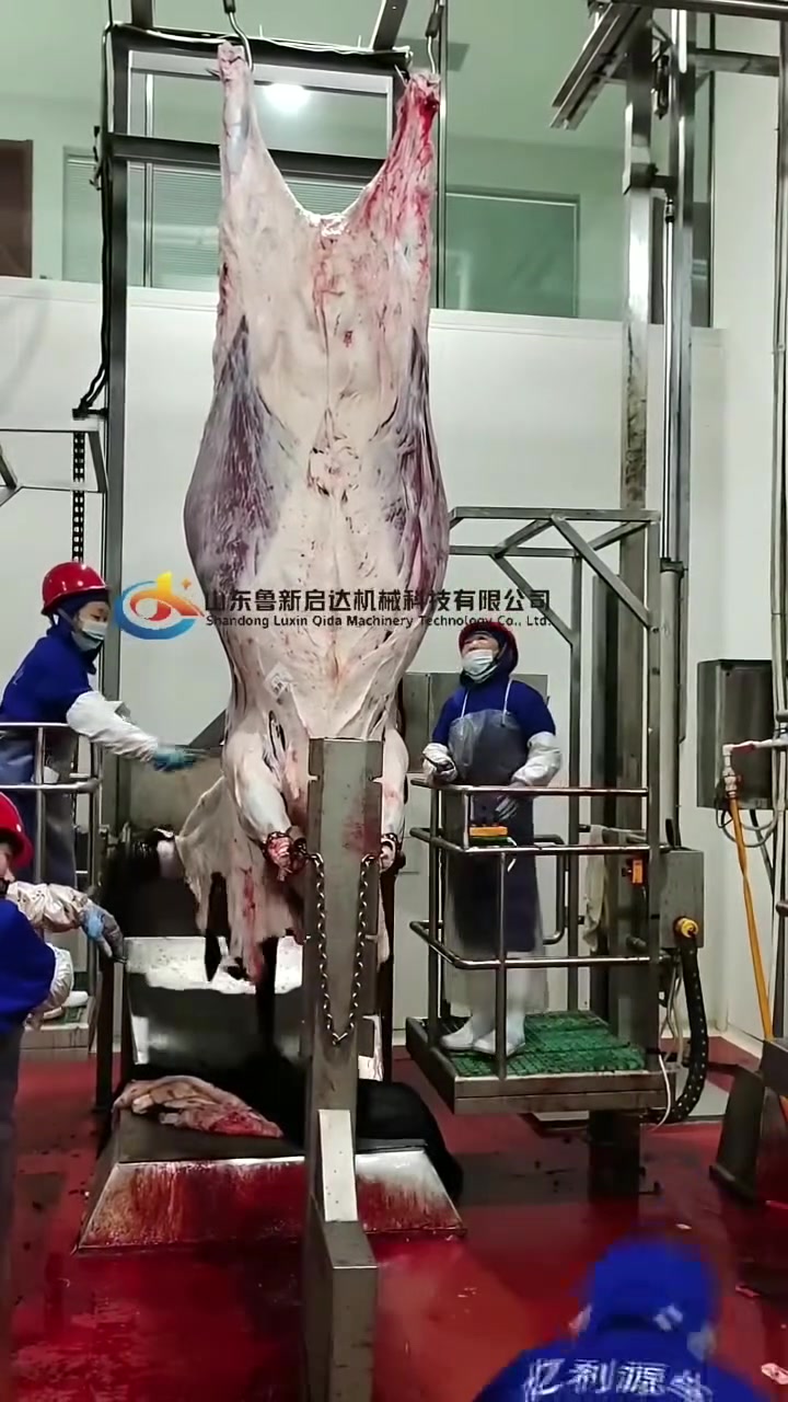 自动牛屠宰线，宰牛加工设备，肉牛屠宰线，大型牛屠宰设备，自动化宰牛机器