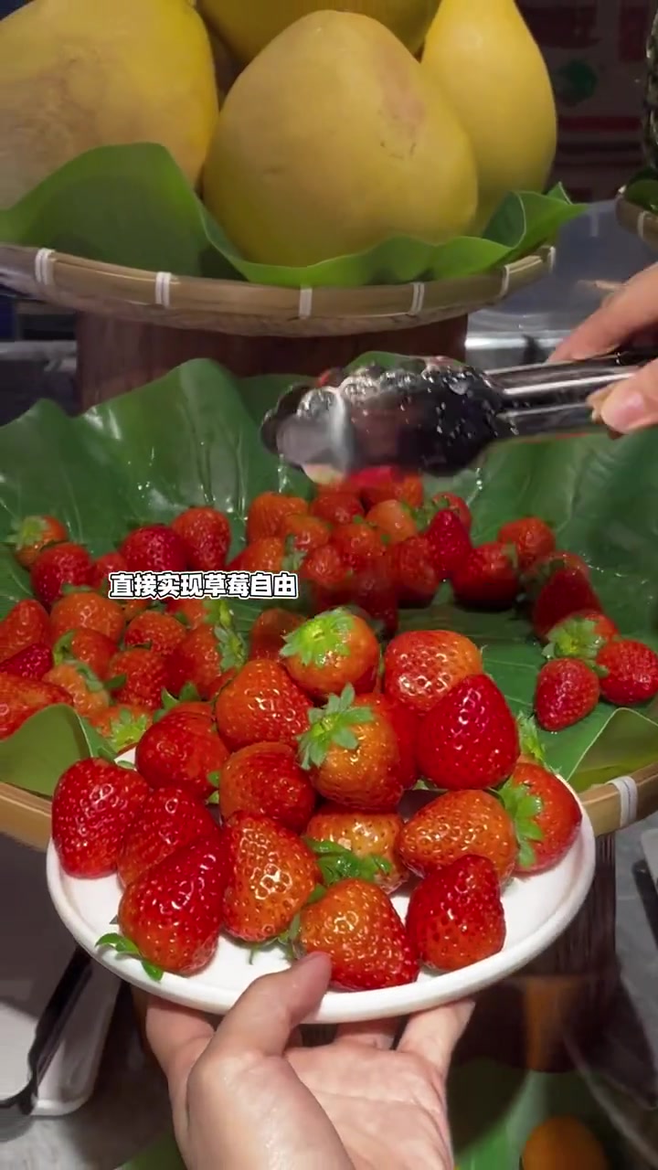 超多海鲜,小青龙海胆,鳌虾吃到爽