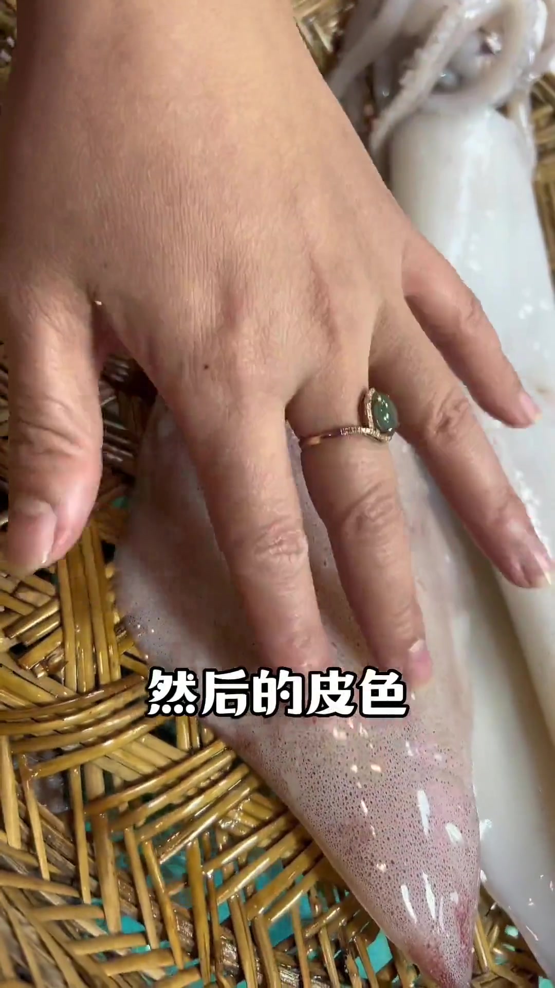 妮(鱿鱼)要如何挑选更优质