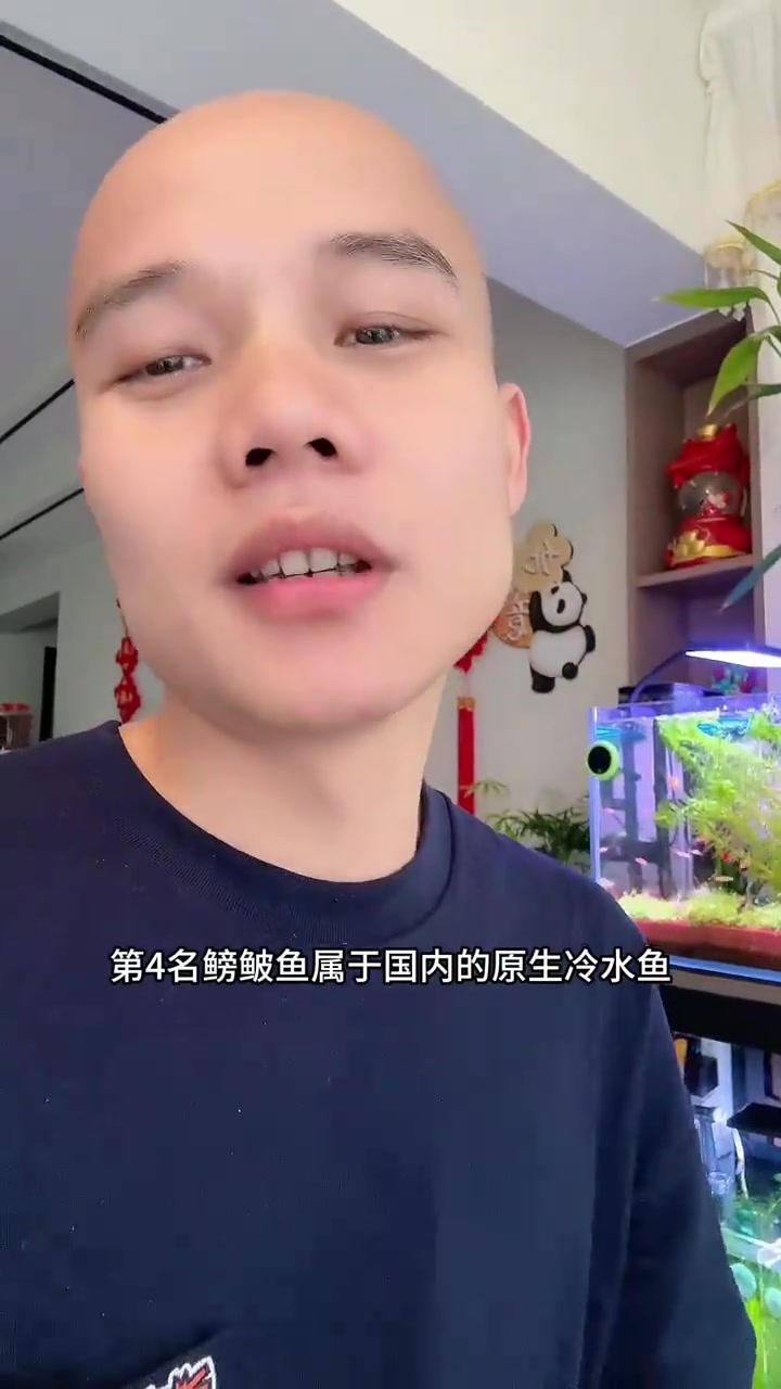 推荐十大皮实耐养，而且价格便宜，非常适合新手饲养的观赏鱼！