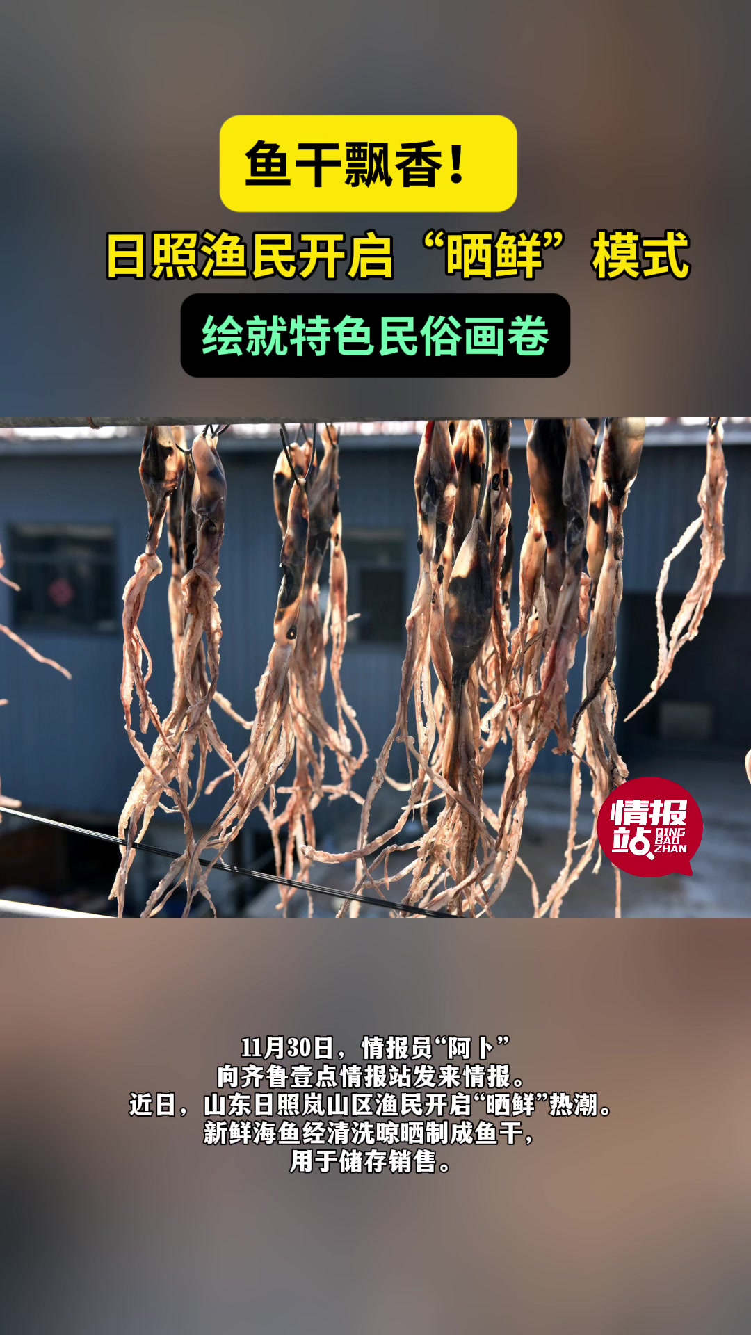 情报站|鱼干飘香!日照渔民开启“晒鲜”模式,绘就特色民俗画卷