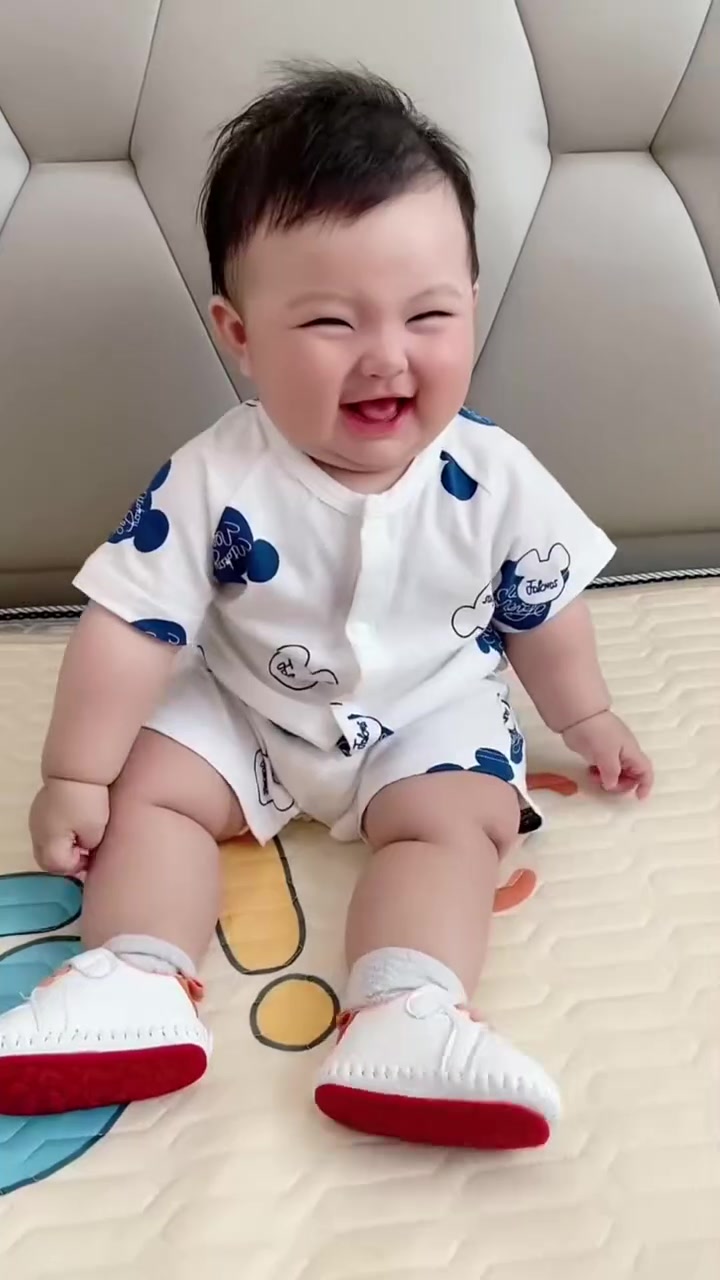 小白菜苗,被猪拱了!