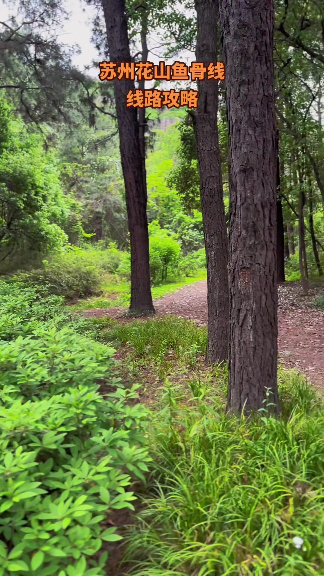 苏州花山鱼骨线游玩攻略大揭秘