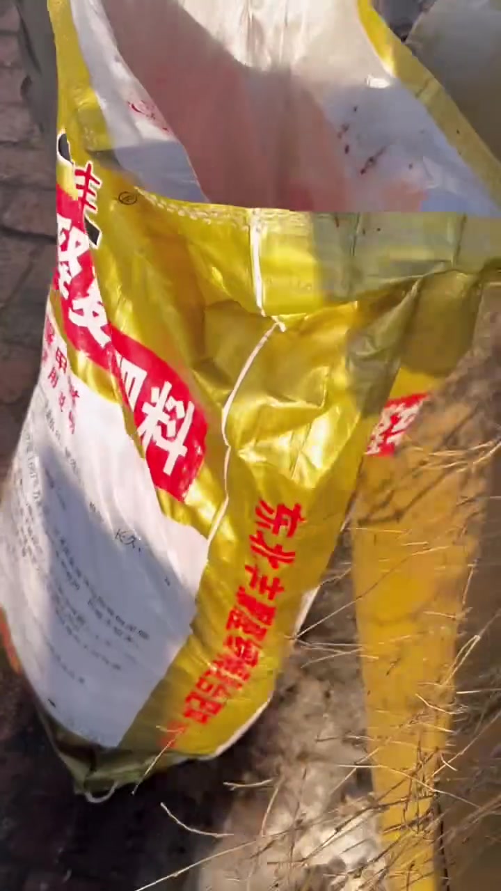 杀年猪烩酸菜