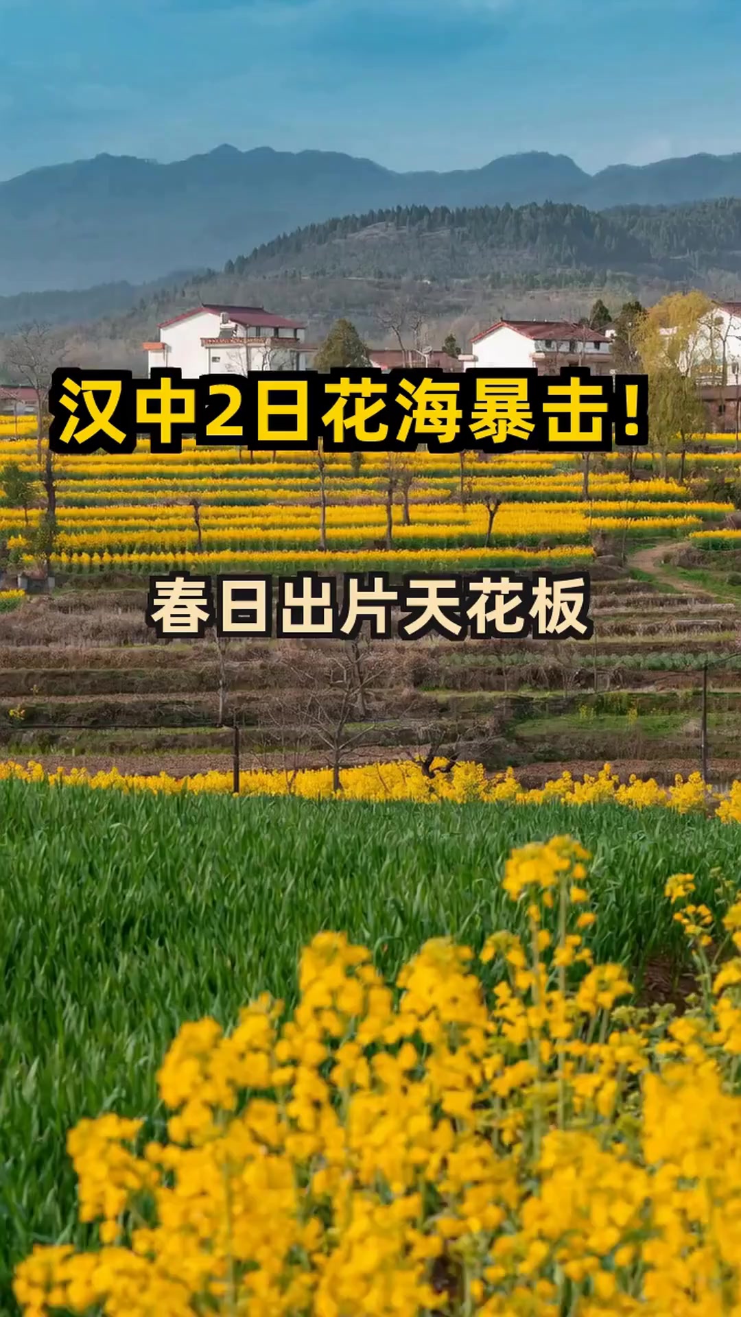 汉中油菜花节|2天玩转3大秘境,错过再等一年!