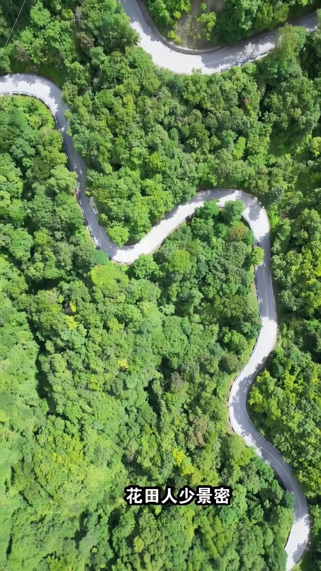 汉中春日赏花别瞎跑！这5个绝美观花点人少景美速收藏