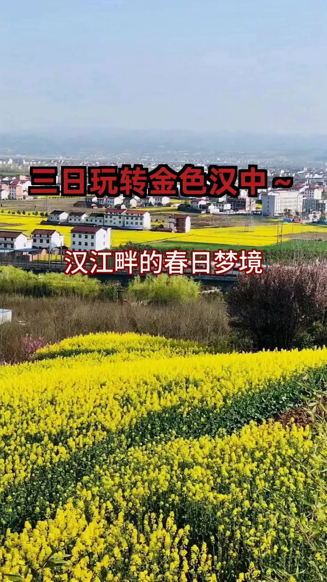 汉中油菜花海美炸了!3天2夜攻略带你玩转春日限定金黄