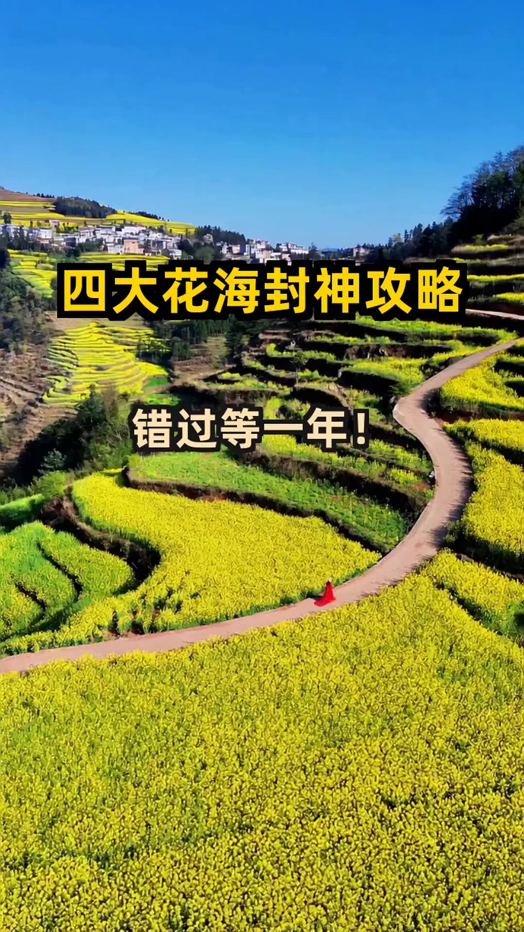 中国4大油菜花海美到窒息！错过再等一年