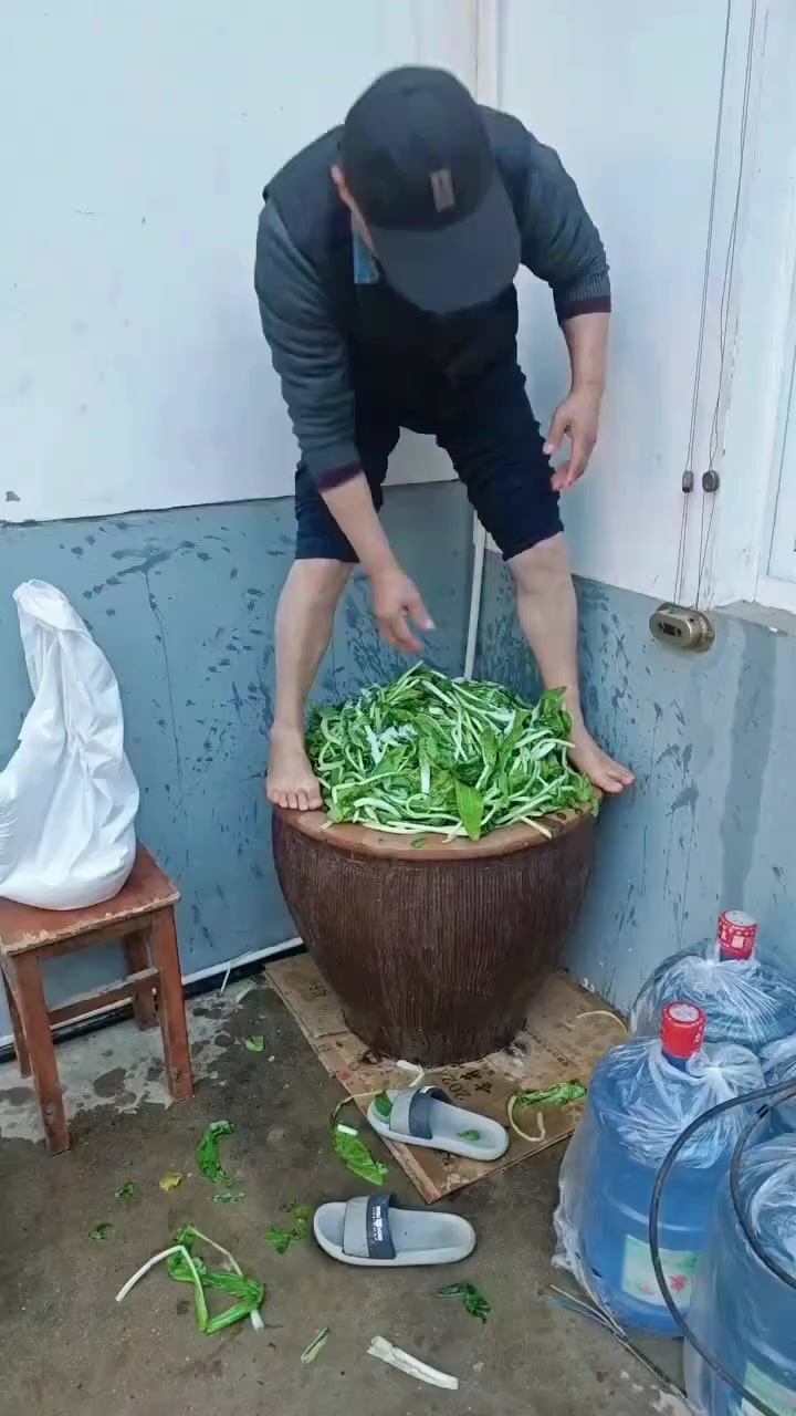 南洋菜现身,这背后的故事你知道吗?
