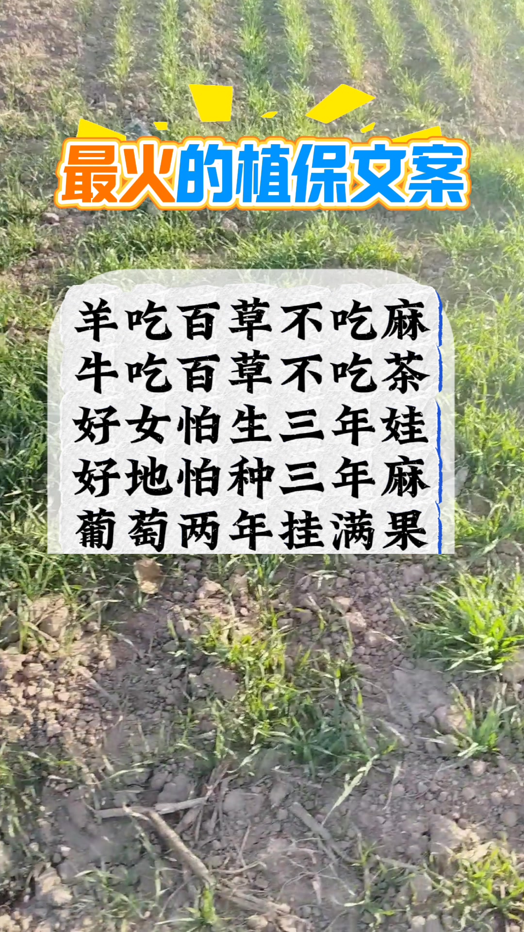 最火的植保文案。