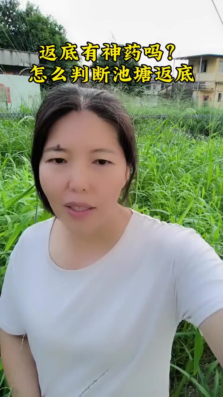 南美白对虾养殖技术，什么是返底？养虾技术，怎么判断池塘有没有返底？