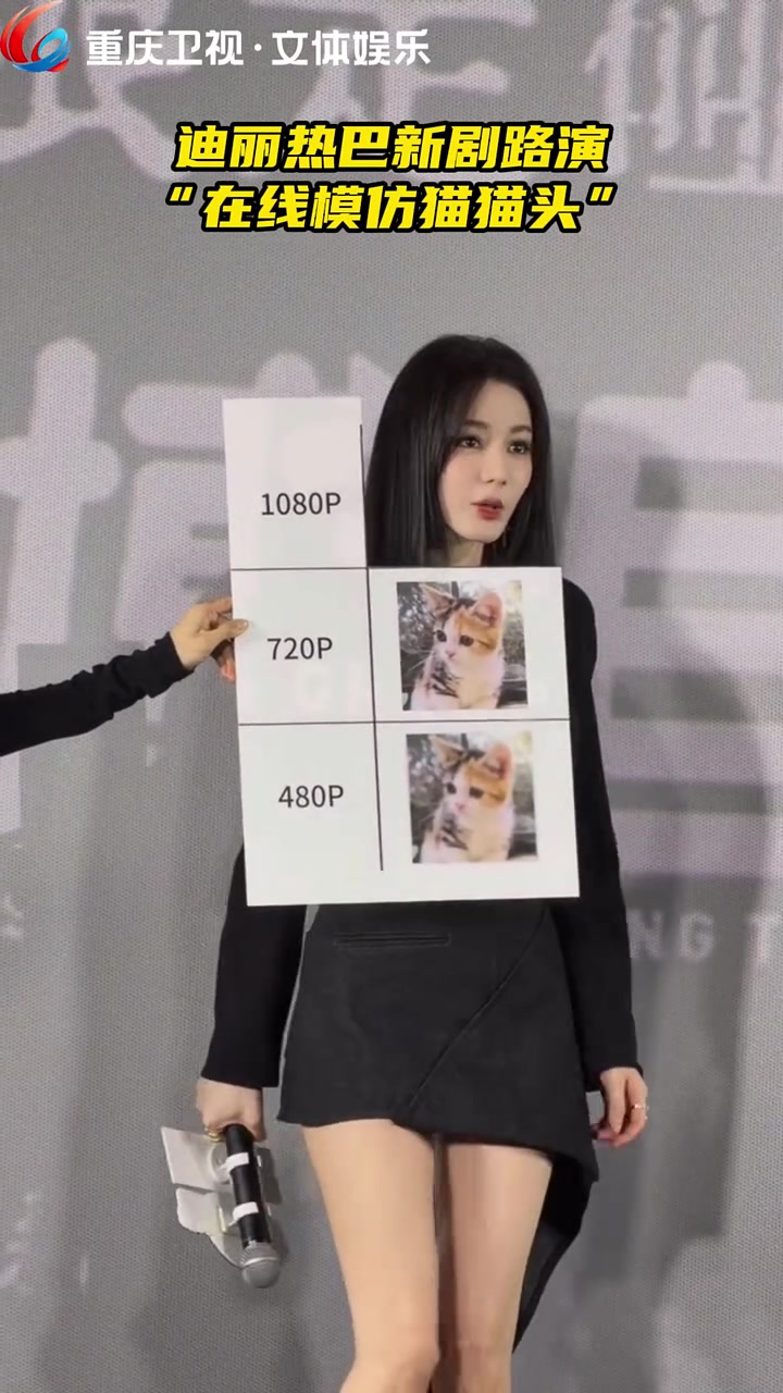 上哪儿找这么可爱的猫猫头像!
