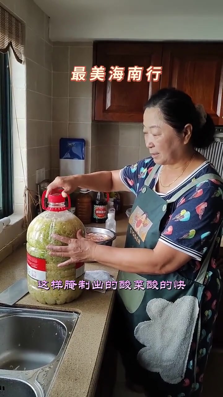旅居海南琼海教你腌制东北酸菜