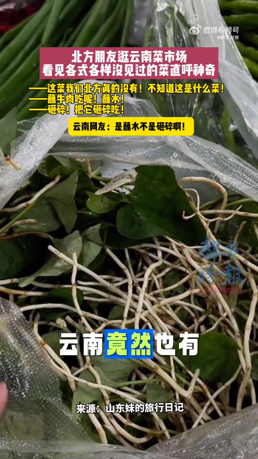 近日,一名北方游客在逛云南元江菜市场时,被琳琅满目的当地特色蔬菜震惊,直呼“太神奇了”。视