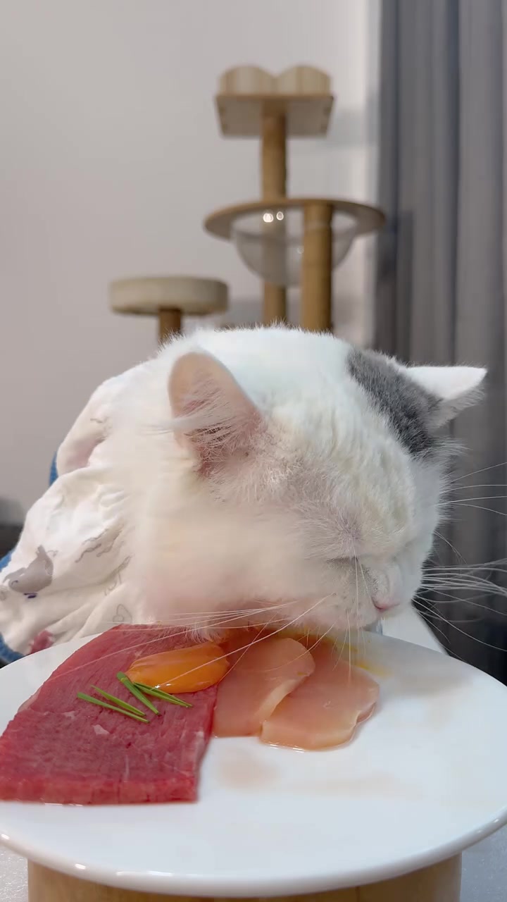猫咪生骨肉