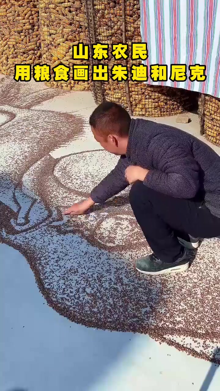 农户用粮食画《疯狂动物城》巨幅海报