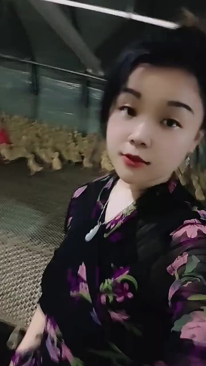 鸭病防治