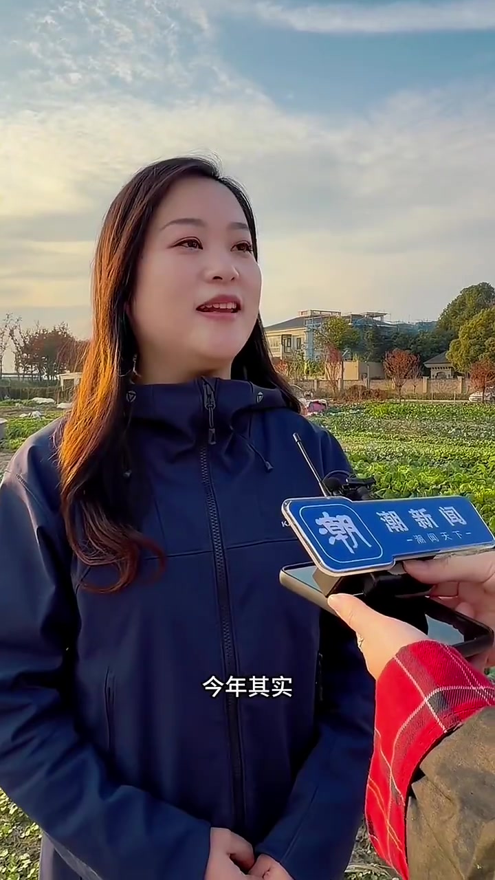 “城市边角料”变身共享菜园 种出四季果蔬也种出邻里情谊