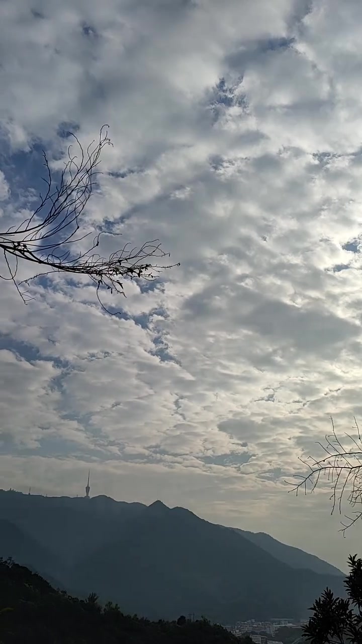 今天拍摄天空中的鱼鳞云