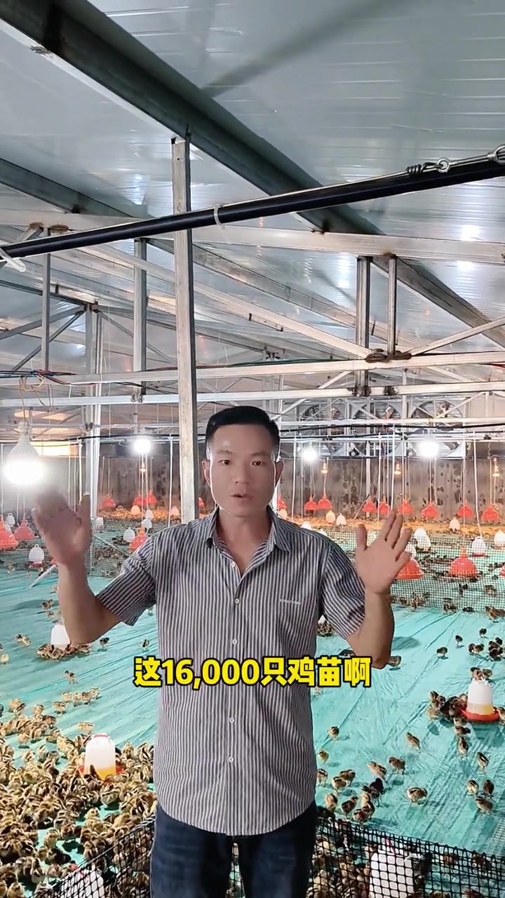 这是我们28个合作养殖基地！今年势必要完成120万只跑山鸡的目标！