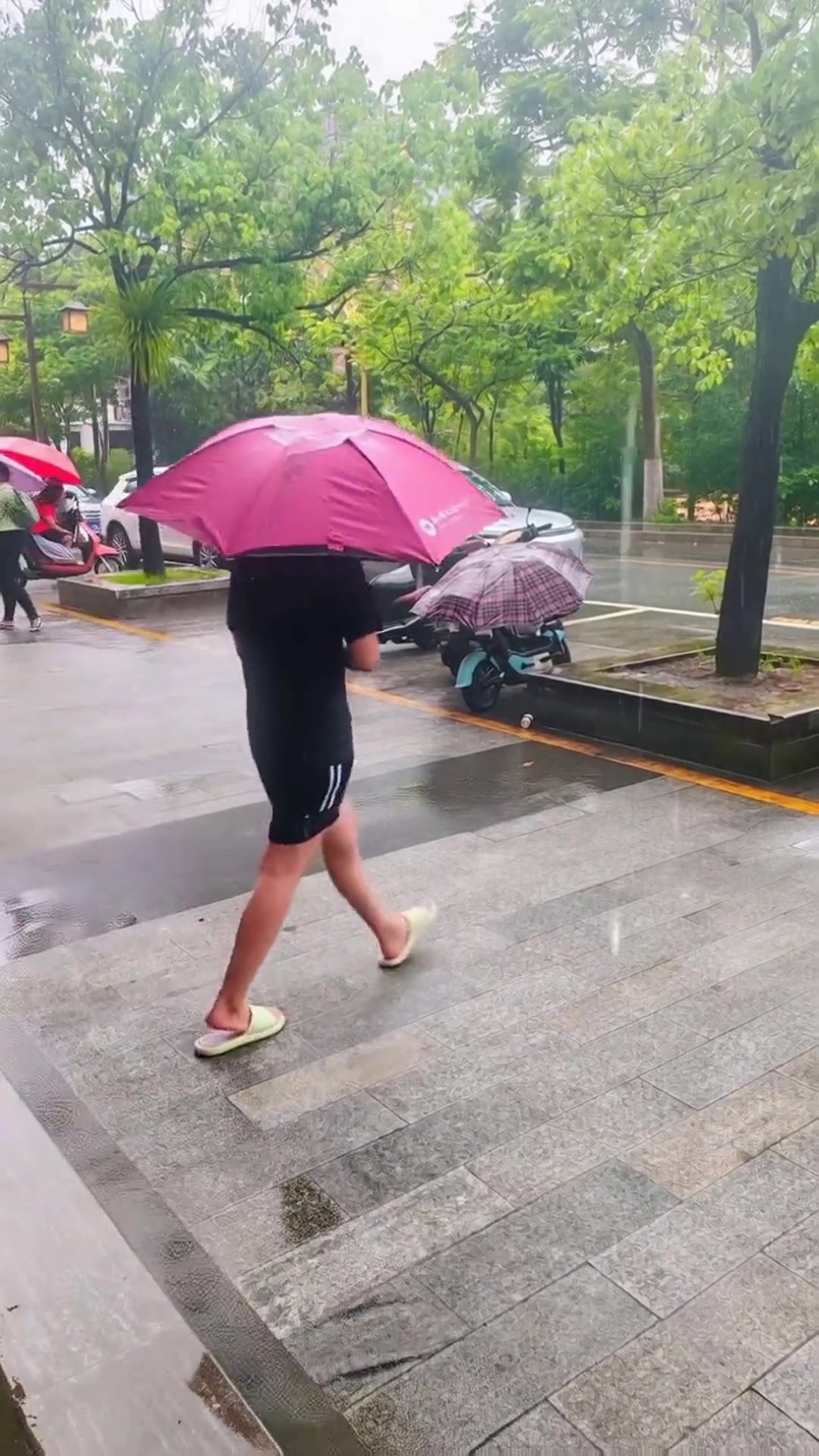 广西冬季气候特点介绍