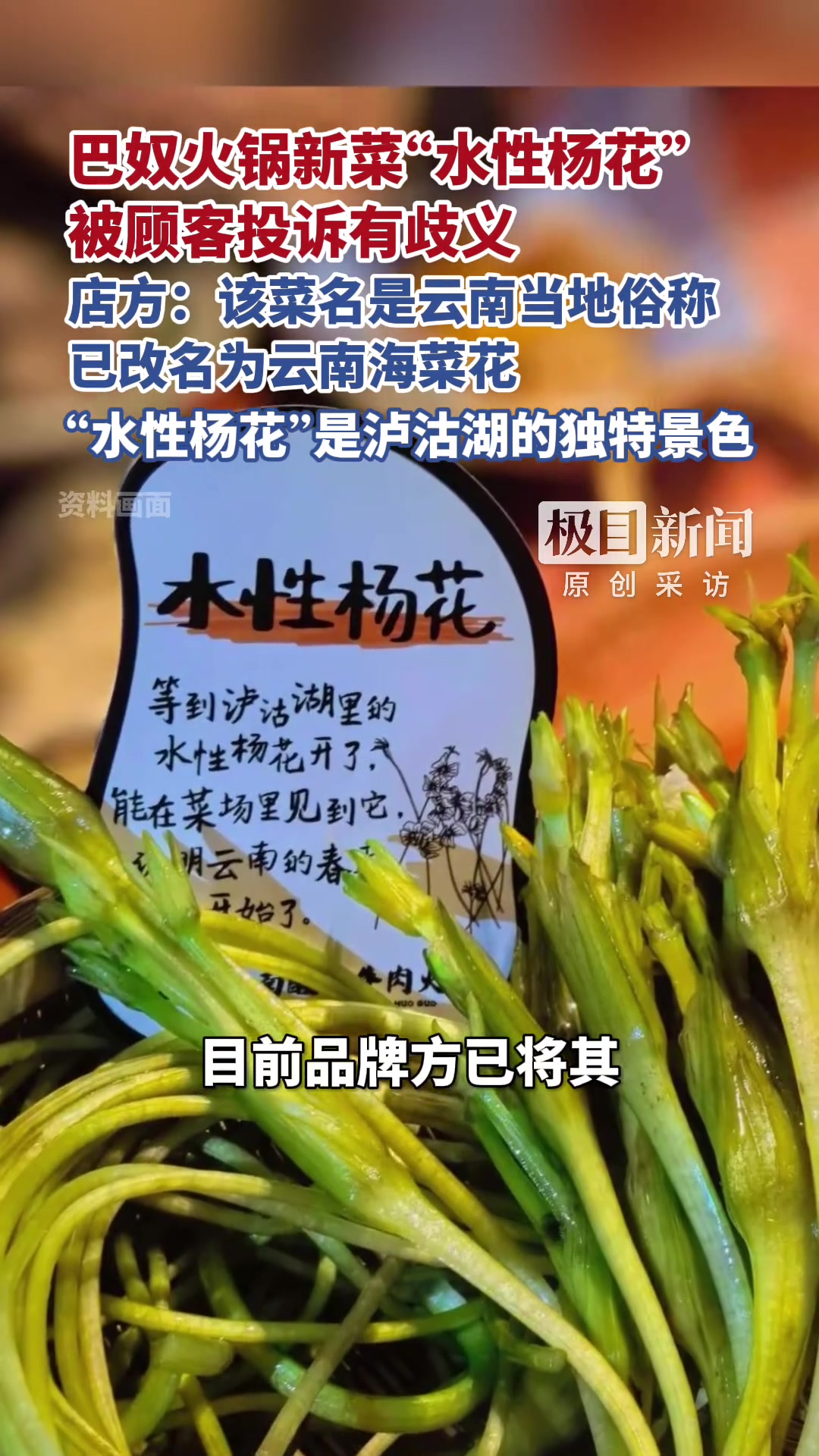 巴奴火锅新菜“水性杨花”被顾客投诉有歧义,店方:该菜名是云南当地俗称,已改名为云南海菜花。