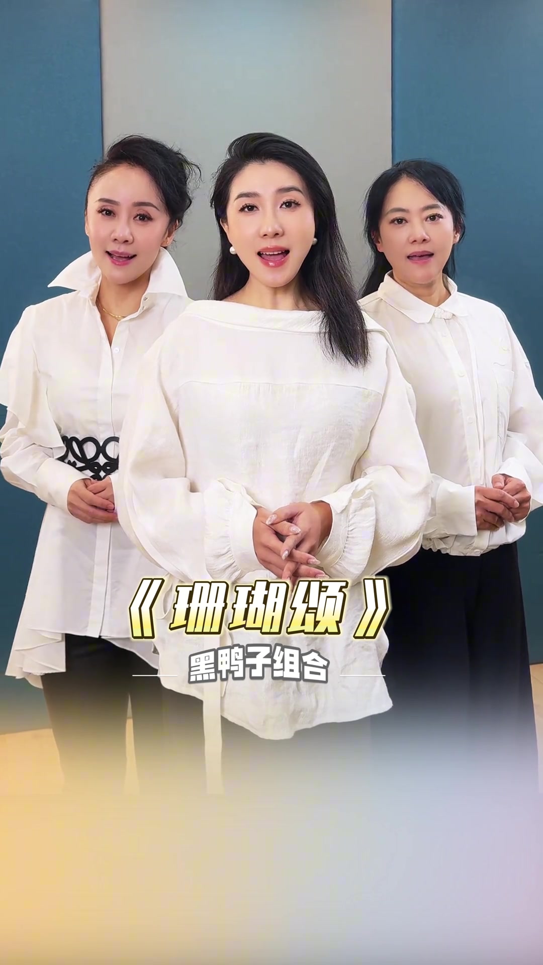 珊瑚颂黑鸭子组合沉默的荣耀