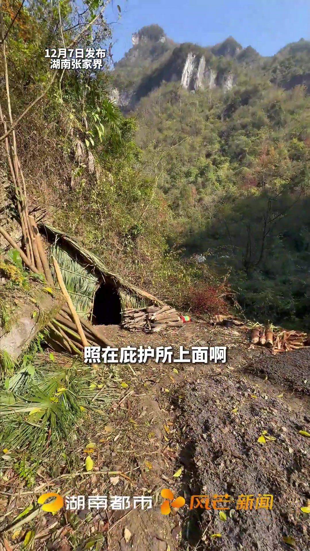“张家界七星山”荒野求生决赛第13天清晨的第一缕阳光照在庇护所上 菜地的种子发芽了 45号