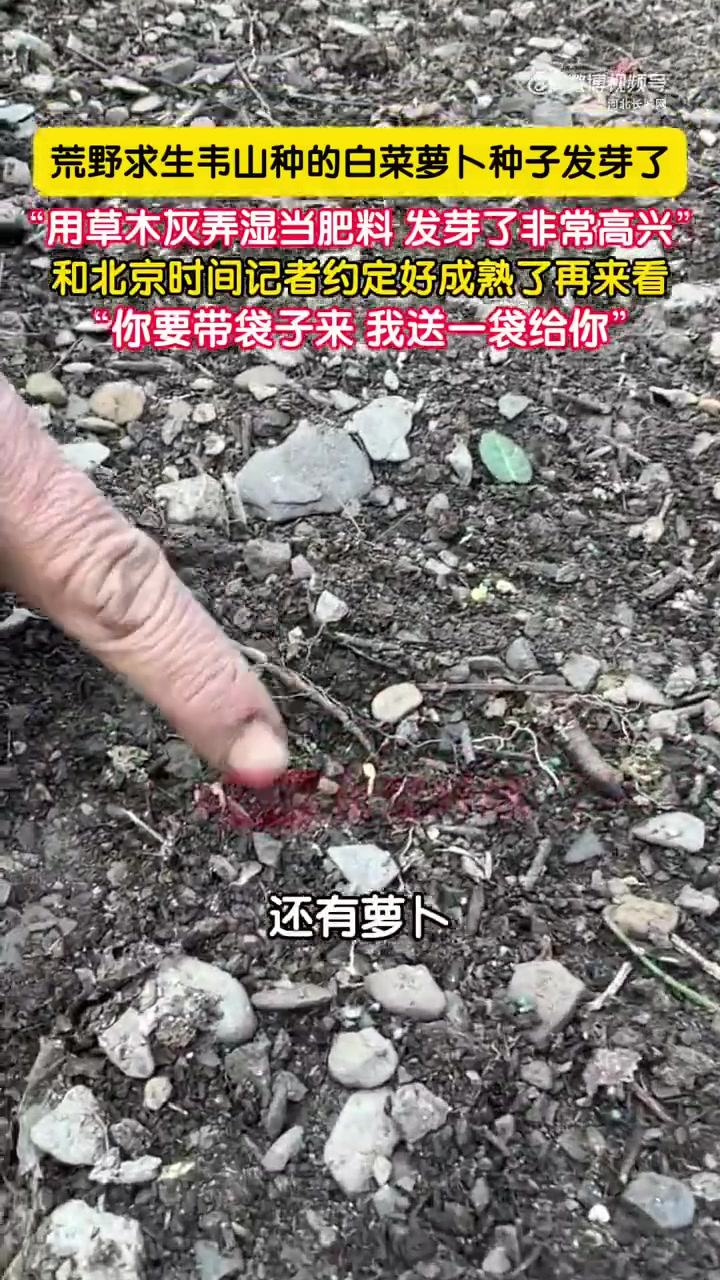12月7日，湖南张家界。七星山荒野求生挑战赛，韦山种的白菜萝卜种子发芽了！韦山：“你要带袋