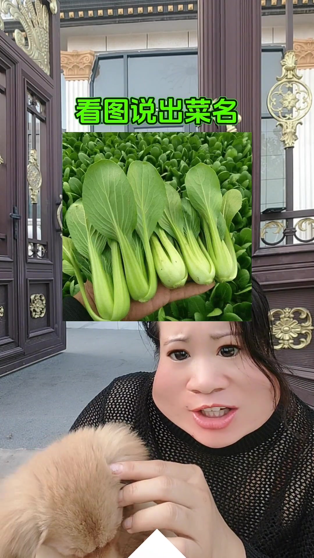 看图认菜名,快来猜猜这些都是啥菜?