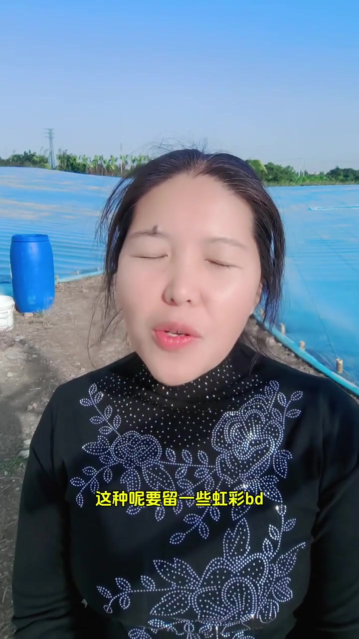 虾黑脚是什么原因？南美白对虾养殖技术，虾甲壳溃疡和虹彩病毒怎么办？