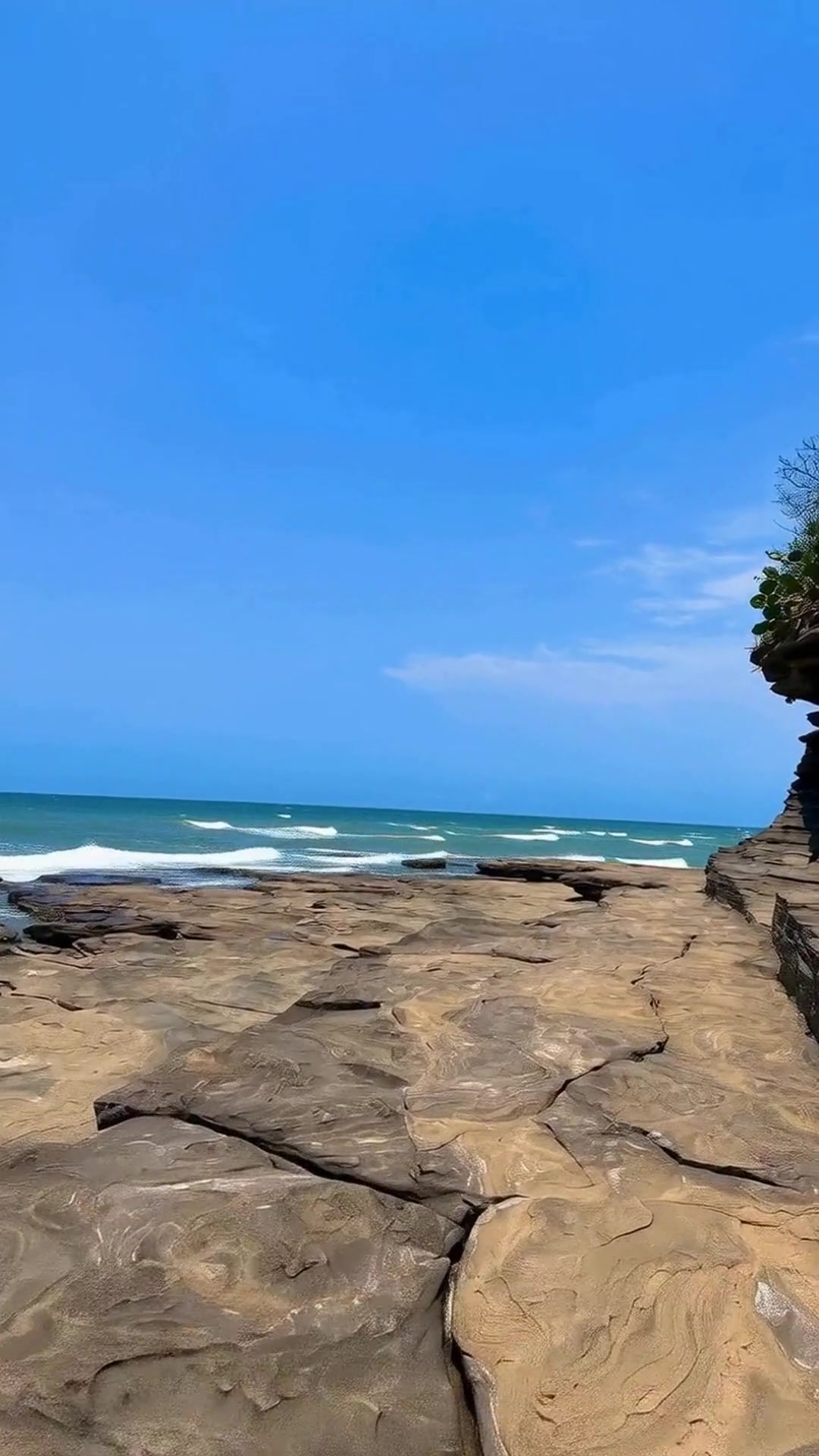 涠洲岛特产海鲜烹饪技巧